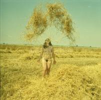 cca 1971 A ruhátlanság izgalmas zónájában, szolidan erotikus felvételek, 3 db vintage fotó + 5 db vi...