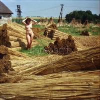 cca 1973 Varázslatok, szolidan erotikus felvételek, 4 db vintage fotó + 4 db vintage negatív (a pozi...