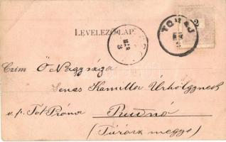 1899 Tokaj, látkép (ázott / wet damage)