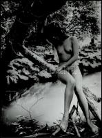 cca 1984 Patak felett álmodozva, Menesdorfer Lajos (1941-2005) budapesti fotóművész hagyatékából, pecséttel jelzett vintage fénykép, 40x30 cm