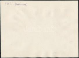 Ganz-mozdony, fotó, hátulján feliratozva, 16,5×23 cm