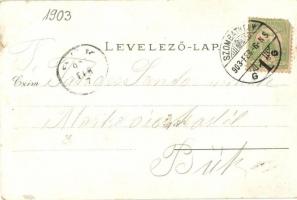 1903 Szombathely, Szent István park kioszk. Erdős keret, kiadja Özv. Fekete Istvánné / forest frame