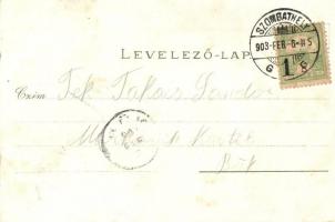 1903 Szombathely, Bagolyvár. Erdős keret, kiadja Özv. Fekete Istvánné / forest frame (fl)