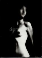 cca 1978 Aktfotók, 2 db jelzés nélküli vintage fénykép, 38x26 cm és 37,5x28 cm