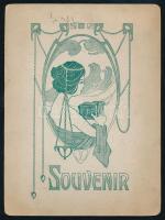 cca 1910 Bártfafürdő (Bardejovské Kúpele), Erzsébet királyné szobra, keményhátú fotó, szecessziós há...