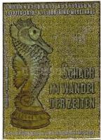 11 db modern dimenziós sakk motívumlap / 11 modern dimensional (3D) chess motive cards