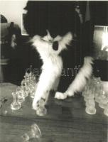 21 db modern sakk motívumlap / 21 modern chess motive cards