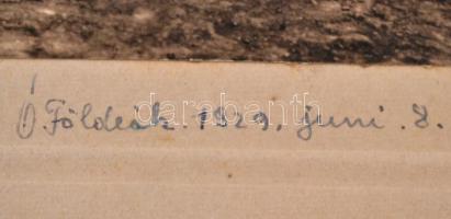 1929 Óföldeák, Návay János (1901-1954) és Haász Zsuzsanna (1912-?) esküvője, 5 db fotó kartonra raga...