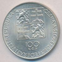 Csehszlovákia 1991. 100K Ag "Wolfgang A. Mozart" T:1- 
Czechoslovakia 1991. 100 Korun Ag ...