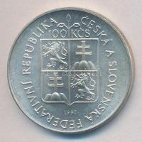 Csehszlovákia 1992. 100K Ag "A Morva Múzeum 175. évfordulója" T:1- patina 
Czechoslovakia...