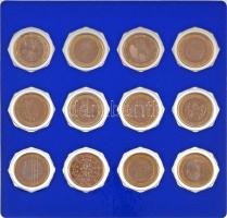 1999-2003. 1E bimetál (12xklf) értékszámos oldalukon nemzetiszín festéssel, dísztokban, tájékoztató ...