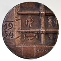 Csúcs Ferenc (1905-1999) 1954. "Jajaczay János Dr. / 1954" kétoldalas Br plakett (292,62g/...