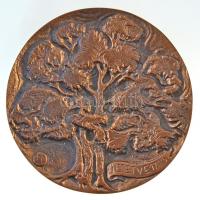 Paál István (1935-2010) 1989. "Bábolna 1789-1989 / Ültetve 1710" kétoldalas Br emlékérem (...