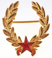 1963. Állami díj I. fokozat aranyozott Br kitüntetés, részben zománcozott (22x25mm) T:1 / Hungary 1963. State Prize 1st grade gilt Br decoration, partially enamelled (22x25mm) C:UNC NMK.: 704