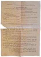 1943. Leírás a levente kiképzésről, hátoldalán rendfokozatok leírása + Levente zománcozott kitűző (1...