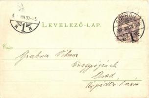 1901 Sopron, Oedenburg; Vásár Karl Pollák üzletével / Jahrmarkt / market