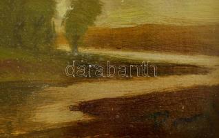 Olvashatatlan jelzéssel: Folyópart. Olaj, falemez, üvegezett keretben, 7×9 cm