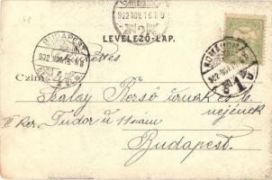 Komárom, Komárnó; Szent András templom, belső. Spizer Sándor kiadása / church interior (EK)