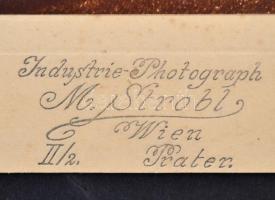 cca 1920 Bécs, az Assisi Szt. Ferenc templom, előtérben a Saturnus gőzhajóval, jobbra a Rudolf főher...