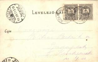 1899 Leányfalu, Szent Anna templom, Duna part, Kaszinó vendéglő. Divald Károly 144. (kissé ázott sar...