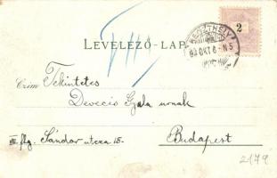 1899 Keszthely, Balatoni park, Fő utca, fürdőház, Festetics palota, Gazdasági tanintézet, Kovács Mór...