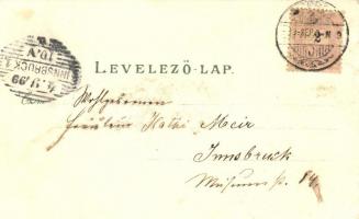 1899 Sopron, Oedenburg; Városház / Rathaus. Ludwig Kummert No. 69. litho (EK)