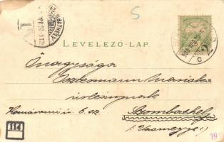 1903 Sopron, Oedenburg; Domonkos templom, Várkerület, Széchenyi István szobor. Szüreti hölgy szőlőve...