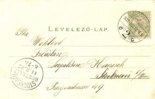 1902 Sopron, Oedenburg; Deák tér, Várostorony, Várkerületi piac árusokkal, Gyalogsági és tüzér lakta...