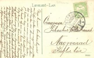 1911 Sopron, Várkerület, létra szekéren