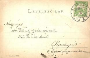 1910 Sopron, Kossuth út villamossal, Varga és Dukász áruházának reklámtáblája (EB)