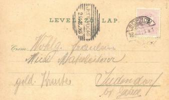 1898 Sopron, Oedenburg; Várkerület, Városház, színház, Liszt szobor, Városház tér. Schwidernoch Káro...