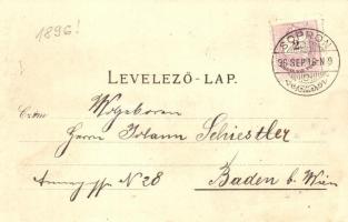 1896 (Vorläufer!) Sopron, Oedenburg; Várostorony, színház, Széchenyi tér. Art Nouveau, floral, litho