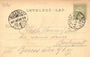 1902 Bácsszentiván, Prigl-Szentiván, Prigrevica; Városház, templom, Kaszinó, Indóház, vasútállomás. ...