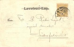 1901 Temesvár, Timisoara; Losonczy tér, templom, üzletek / square, church, shops  (EK)