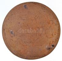 Solymári Valkó László (1909-1984) 1933. "Dr. Takáts Sándor 1860-1932" egyoldalas öntött Br...