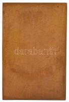 Rigele Alajos (1879-1940) 1910. "Pirchala Imre negyven éves működésének emlékére" Cu plake...