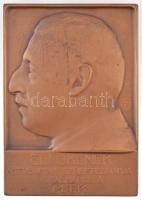 Szentgyörgyi István (1881-1939) ~1920. Elnökének ötvenedik születésnapja alkalmából a M.T.K. Br emlékplakett (78x112mm) T:2,2-