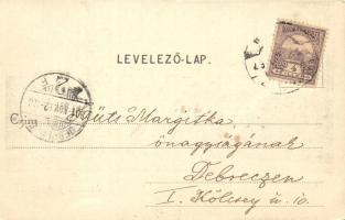 1901 Miskolc, Kálvária. Kardos József kiadása