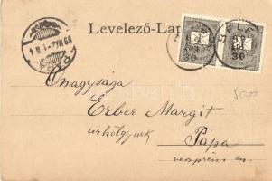 1899 Beled, Barthodeiszky kastély, Doprentet Gábor üzlete, vendéglő, étterem. Art Nouveau, floral (E...