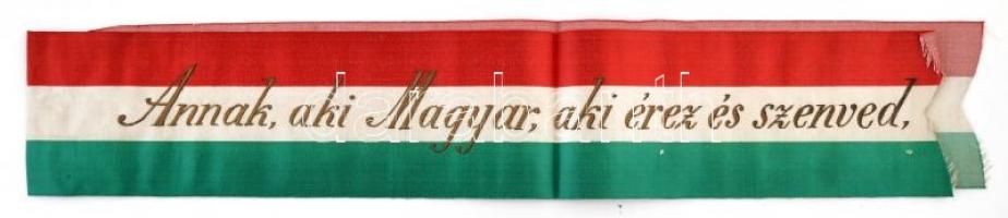 1919 május 11. dr. Lechner Károly orvosprofersszornak, a kolozsvári egyetem dékánjának írt levél tan...