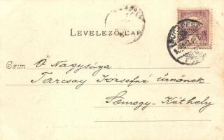 1900 Budapest II. Lipótmező és Hűvösvölgy, villamos közúti vasút  részlete. Divald Károly 382.  (EK)