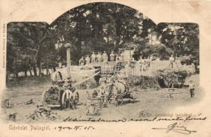 1902 Debrecen-Pallag, M. kir. gazdasági tanintézet kertje, cséplőgép munka közben. Komáromi J. felvétele és kiadása (EK)