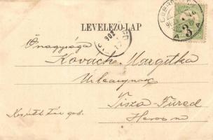 1902 Debrecen-Pallag, M. kir. gazdasági tanintézet kertje, cséplőgép munka közben. Komáromi J. felvé...