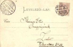 1898 Budapest XIV. Városligeti tó (EK)