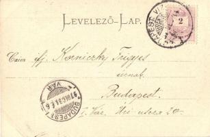 1897 (Vorläufer!) Budapest V. Bazilika (EK)