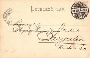 1899 Budapest V. Eötvös József szobor, Magyar-Francia Biztosító Rt. (EK)