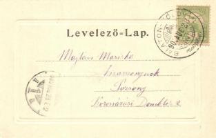 1905 Balatonföldvár, Imre utca nyaralókkal. Bem Gyula kiadása (EK)