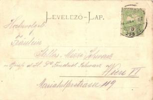 Békéscsaba, Fő tér 50 évvel ezelőtt. Magyar zászlós montázs / main square 50 years ago. Hungarian fl...