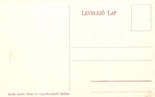 Tápiószele, Viczián kastély. Szelik Aladár kiadása / castle