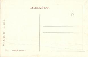 Temesrékas, Rékás, Recas; Fő tér.  W. L. Bp. 433.  / main square (fa)